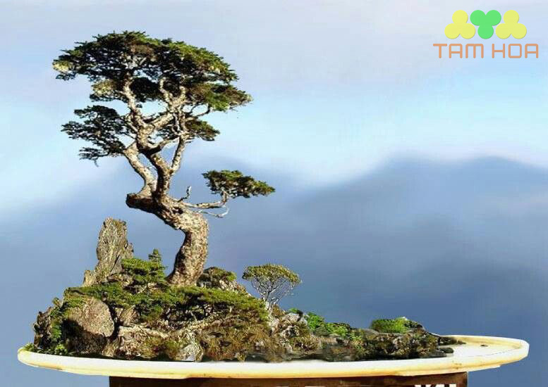 Hòn non bộ đơn giản kích thước nhỏ