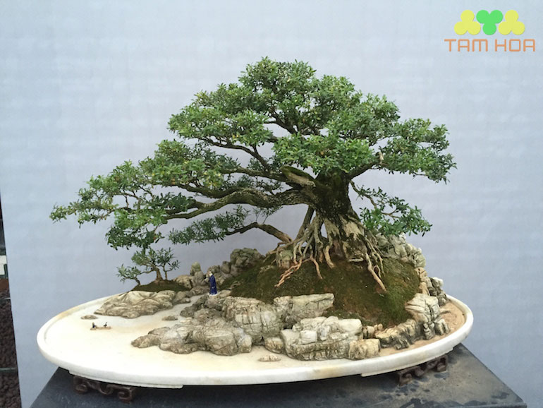 Hòn non bộ đơn giản phong cách nhất trụ