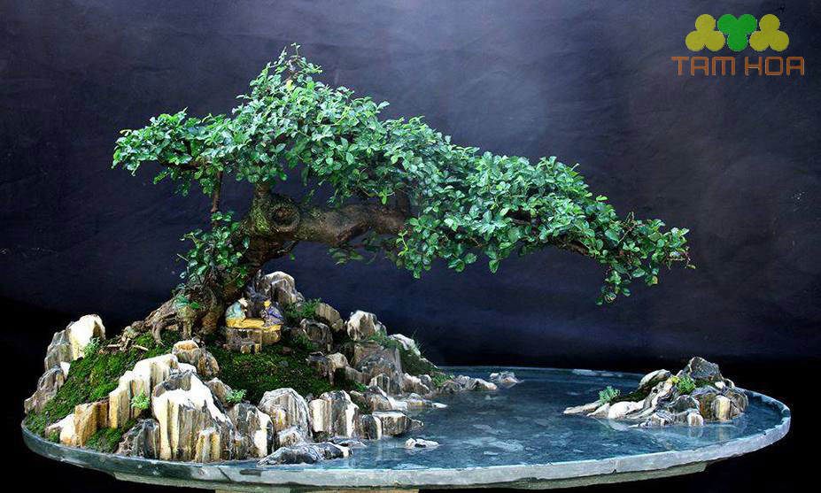 Hòn non bộ đơn giản tuyệt đẹp