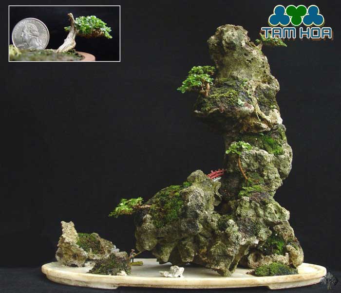 Hòn non bộ mini mang đến vẻ đẹp tự nhiên