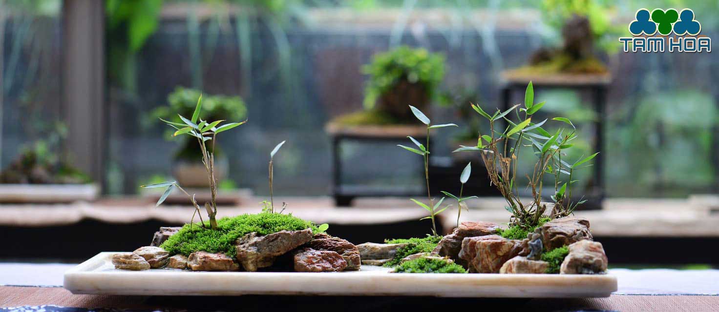 Hòn non bộ mini đẹp, giá tốt