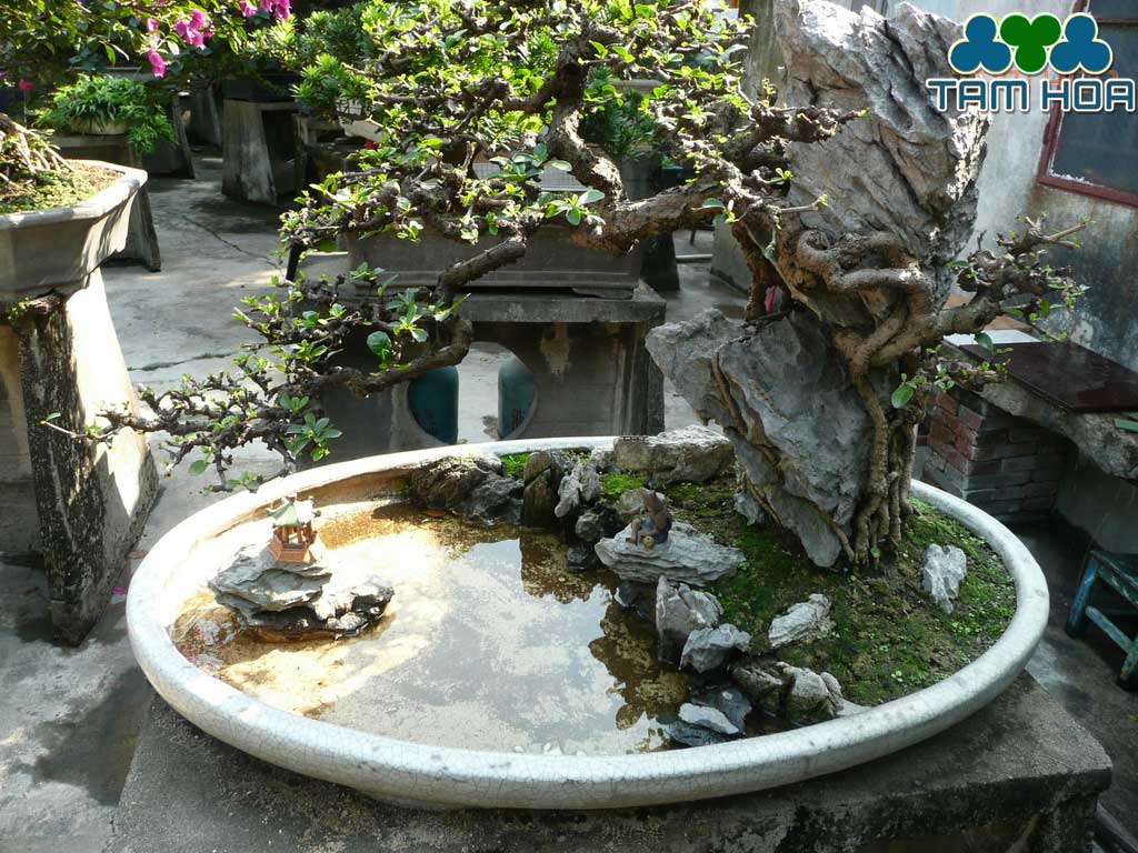 Hòn non bộ mini đơn giản, giá tốt