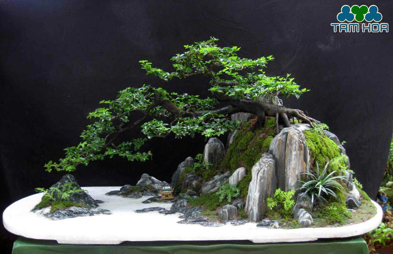 Hòn non bộ mini đẹp, rêu phong