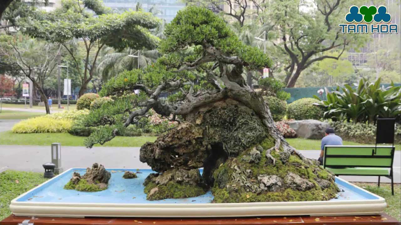 Hòn non bộ mini tạo bao cảnh