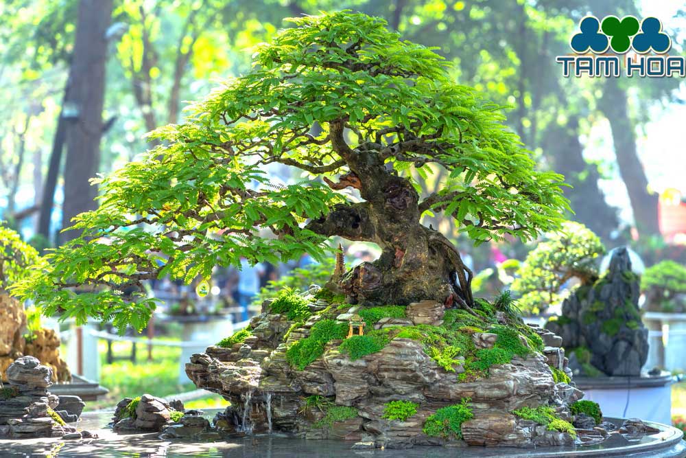 Hòn non bộ mini xanh