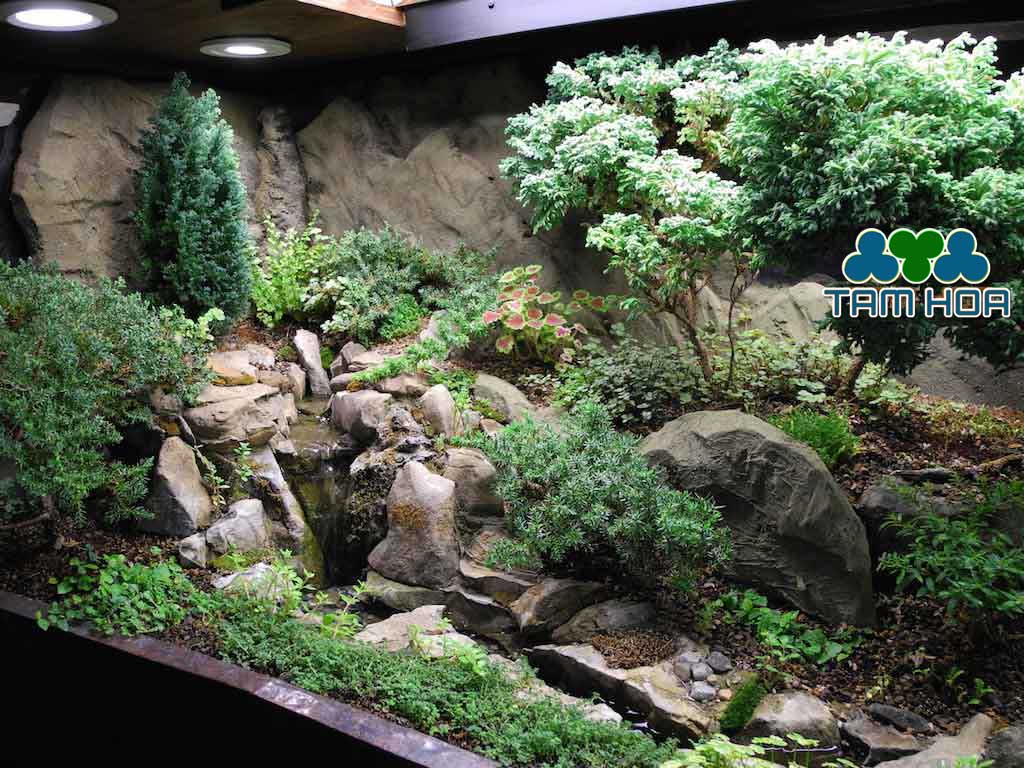 Hòn non bộ mini phong cách rừng rậm