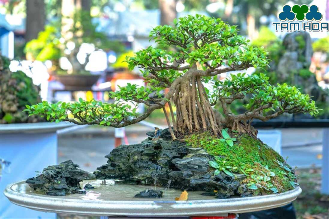 Hòn non bộ mini có thế đẹp