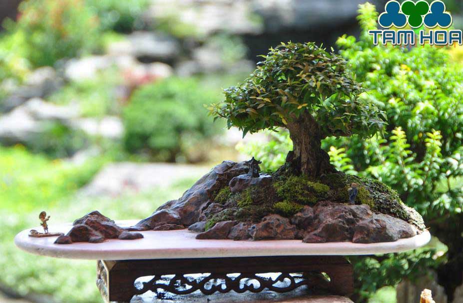 Hòn non bộ mini đề bàn trà