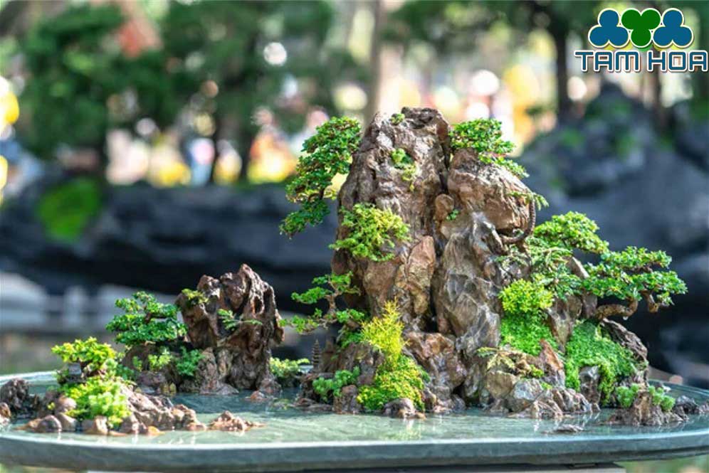 Hòn non bộ mini phong thủy tốt