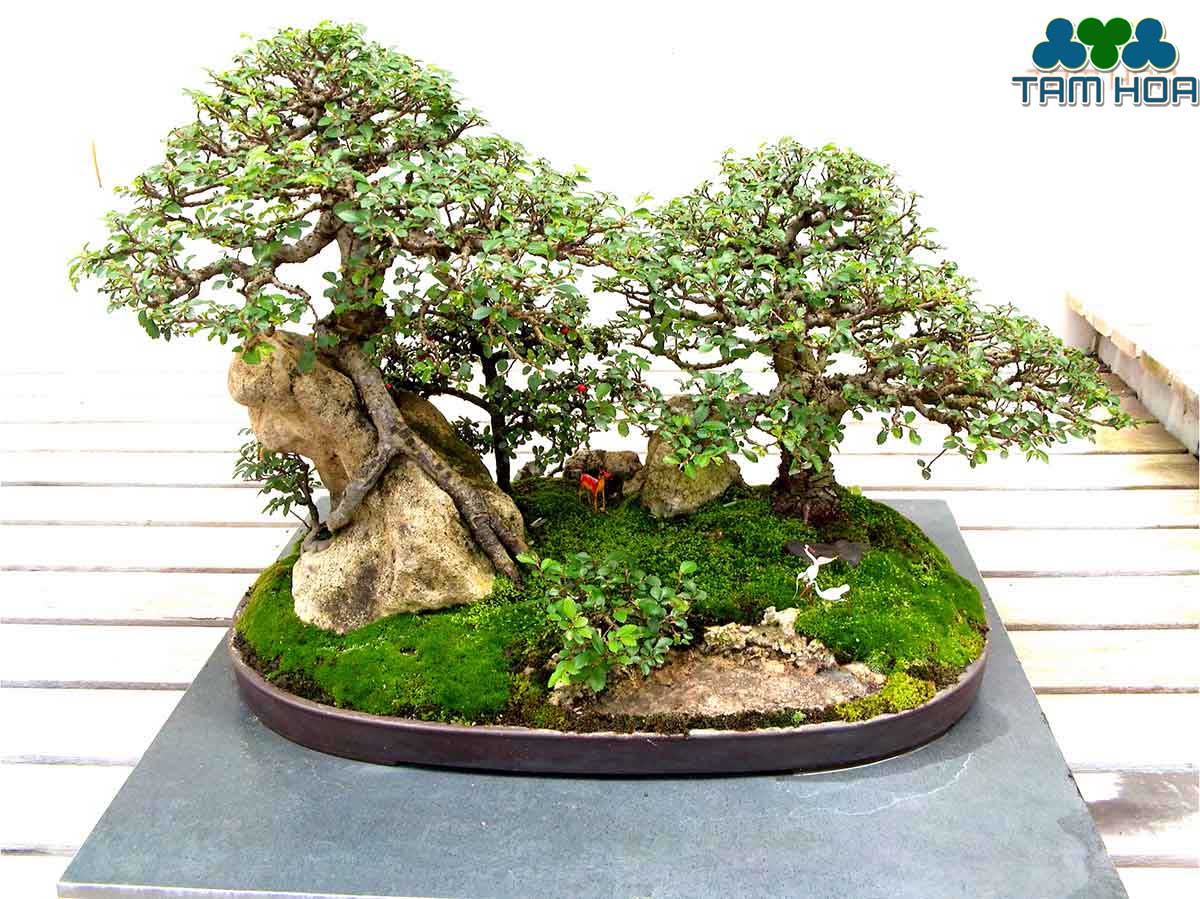 Yếu tố tạo nên vẻ đẹp hòn non bộ