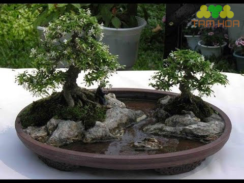 Mẫu hòn non bộ ngoài trời có nước
