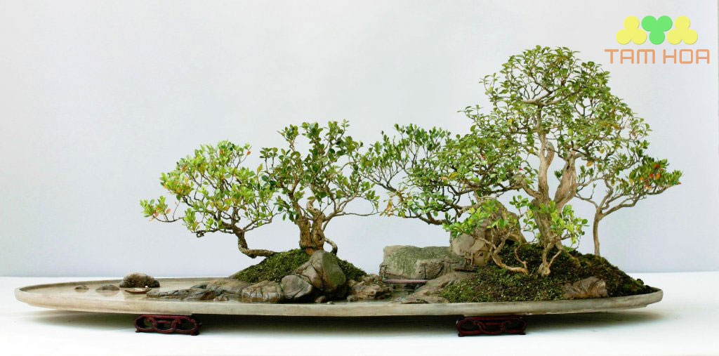 Mẫu hòn non bộ ngoài trời triển lãm