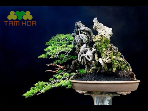 Mẫu hòn non bộ ngoài trời trưng bày