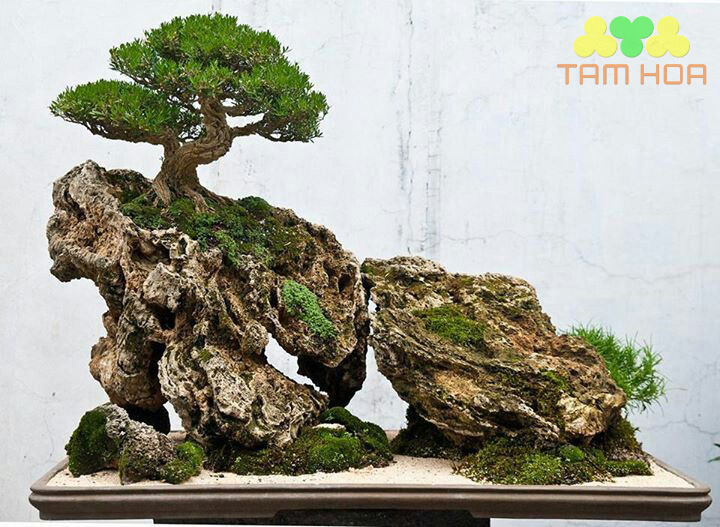 Mẫu hòn non bộ ngoài trời đơn giản
