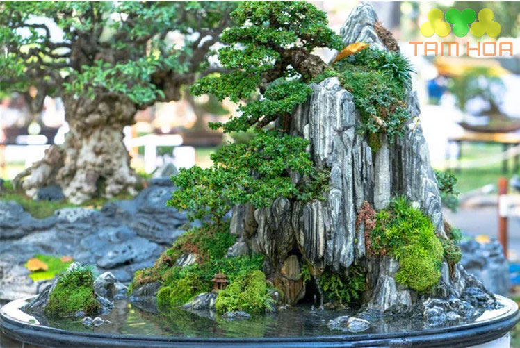 Mẫu hòn non bộ ngoài trời kết hợp nước