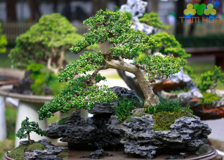 Mẫu hòn non bộ ngoài trời kiểu dáng đẹp