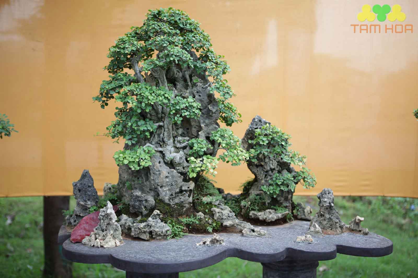 Mẫu hòn non bộ ngoài trời đơn giản nhất