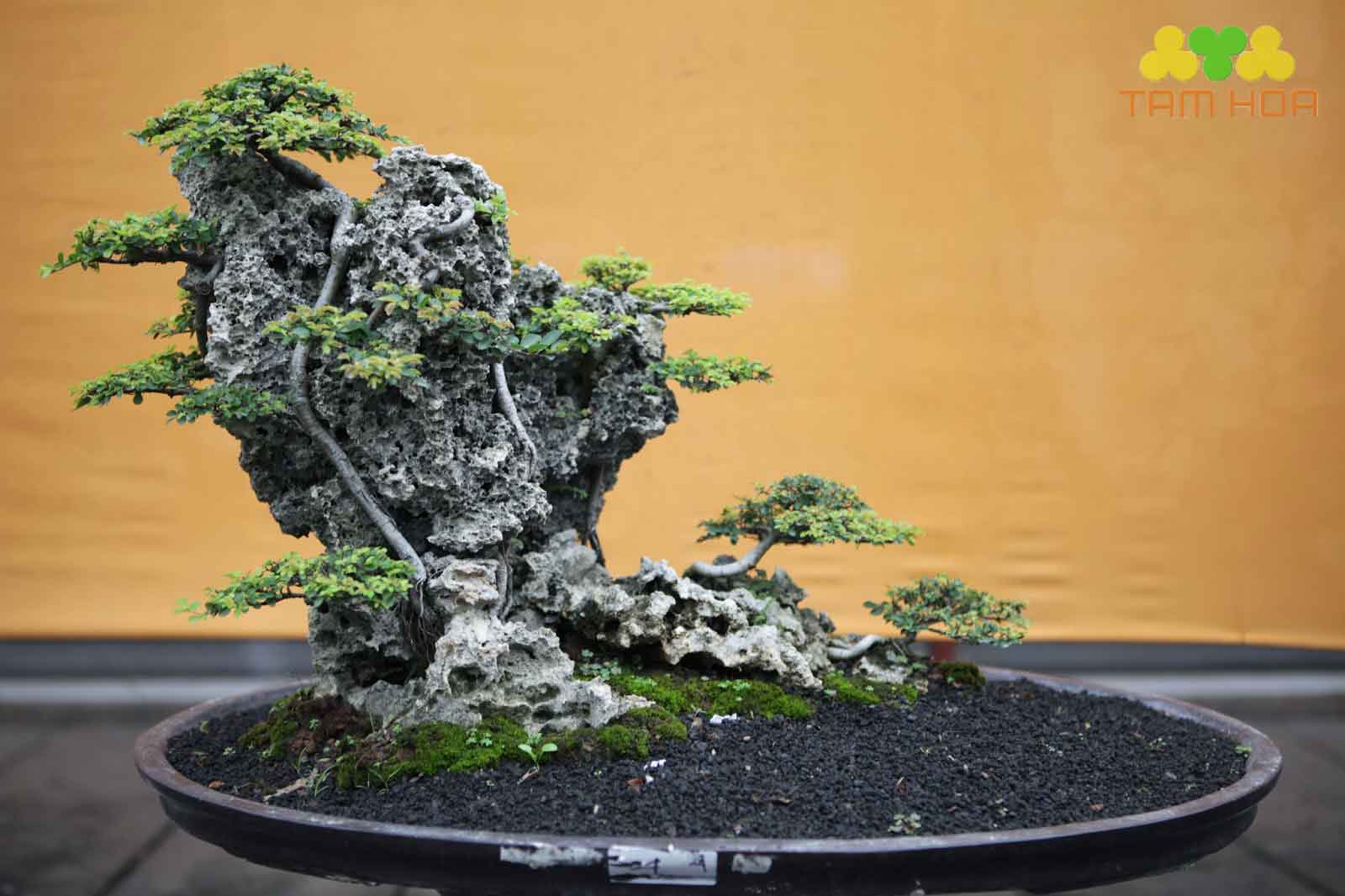 Mẫu hòn non bộ ngoài trời xanh độc lạ