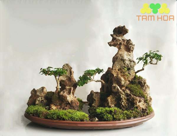Mẫu hòn non bộ ngoài trời kiểu dáng điệu đà
