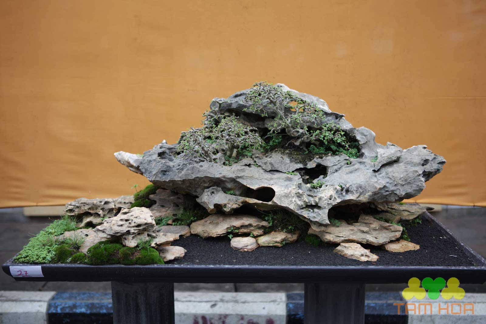 Mẫu hòn non bộ ngoài trời phá cách