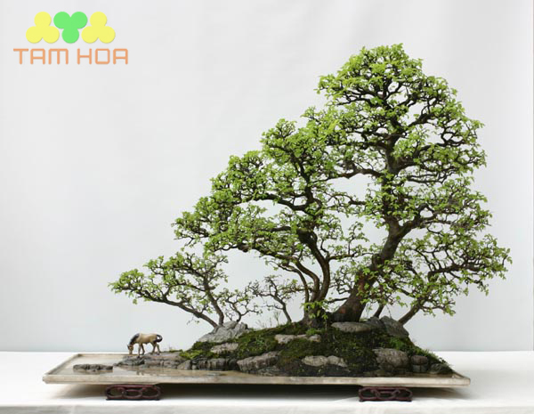 Mẫu hòn non bộ ngoài trời phong các cổ điển
