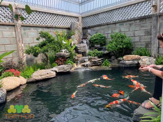 Lựa chọn hòn non bộ thể núi phù hợp diện tích