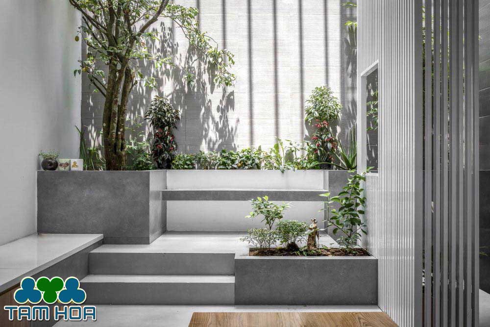 Sân vườn Nhỏ - Mini thiết kệ hiện đại 2022