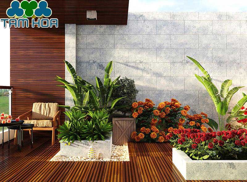 Sân vườn Nhỏ - Mini có khu trồng hoa