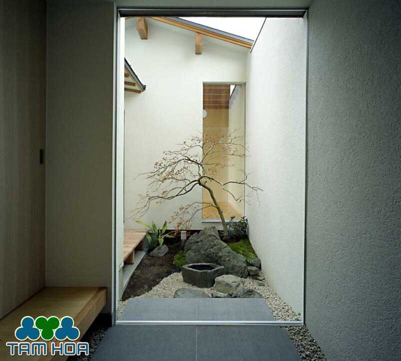 Sân vườn Nhỏ - Mini giếng trời
