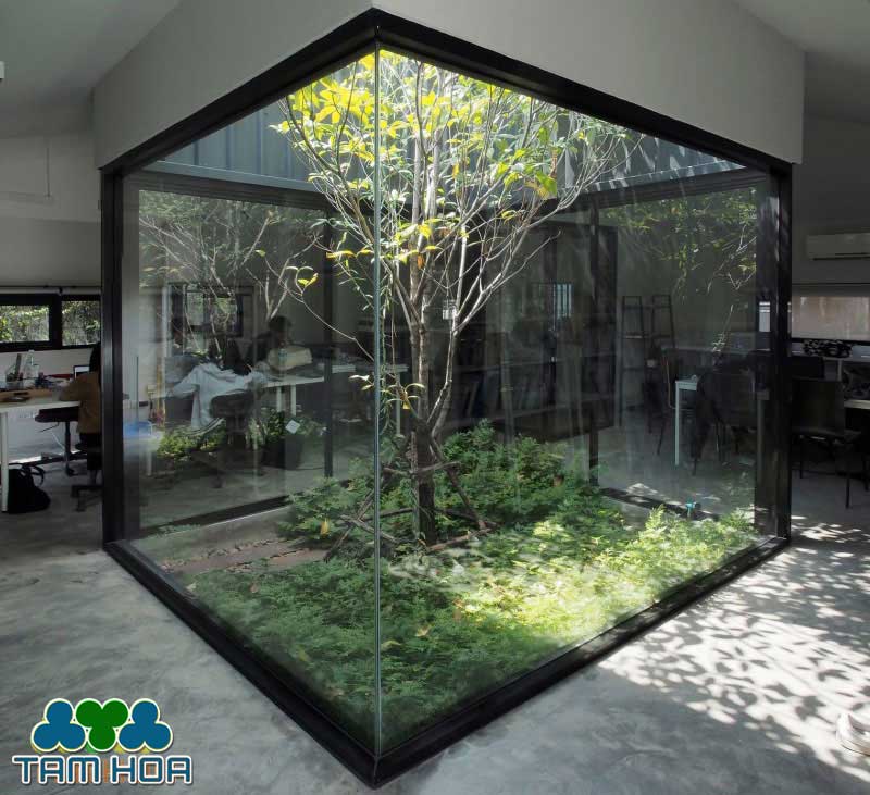 Sân vườn Nhỏ - Mini tạo cảnh quan xanh