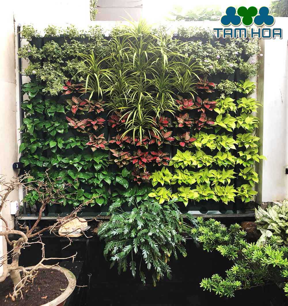 Sân vườn Nhỏ - Mini trồng cây mặt đứng
