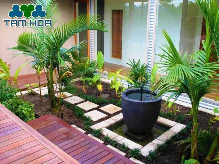 Sân vườn Nhỏ - Mini đơn giản, không mất thời gian chăm sóc