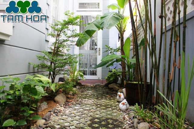 Sân vườn Nhỏ - Mini biệt thự đẹp