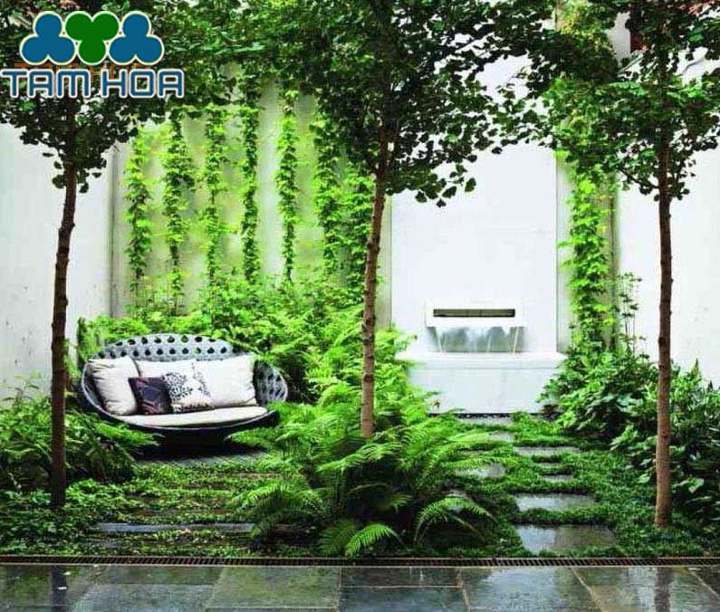 Sân vườn Nhỏ - Mini thiết kế đơn giản, dễ chăm