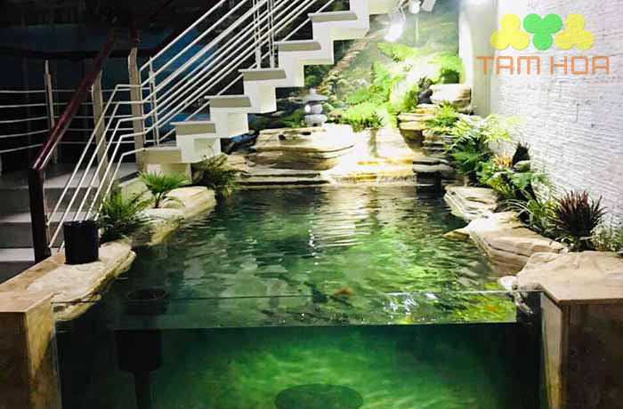 Mẫu hồ cá Koi bằng kính được ưu chuộng nhất