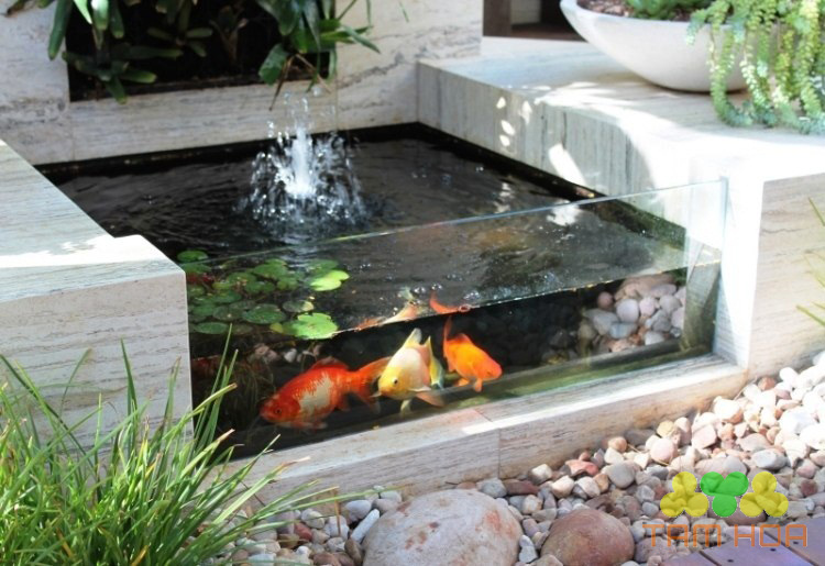 Mẫu hồ cá Koi bằng kính mini thịnh hành