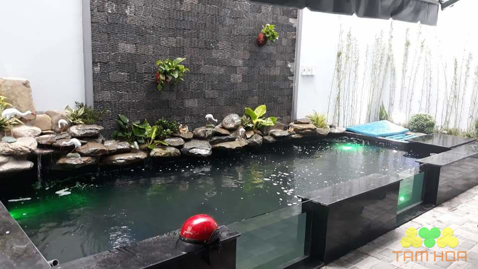 Hồ cá Koi bằng kính đơn giản