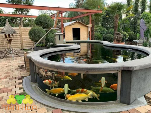 Hồ cá Koi bằng kính nghệ thuật