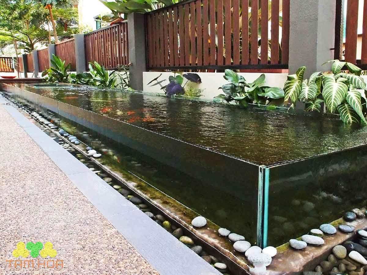 Hồ cá Koi bằng kính có rãnh thoát nước