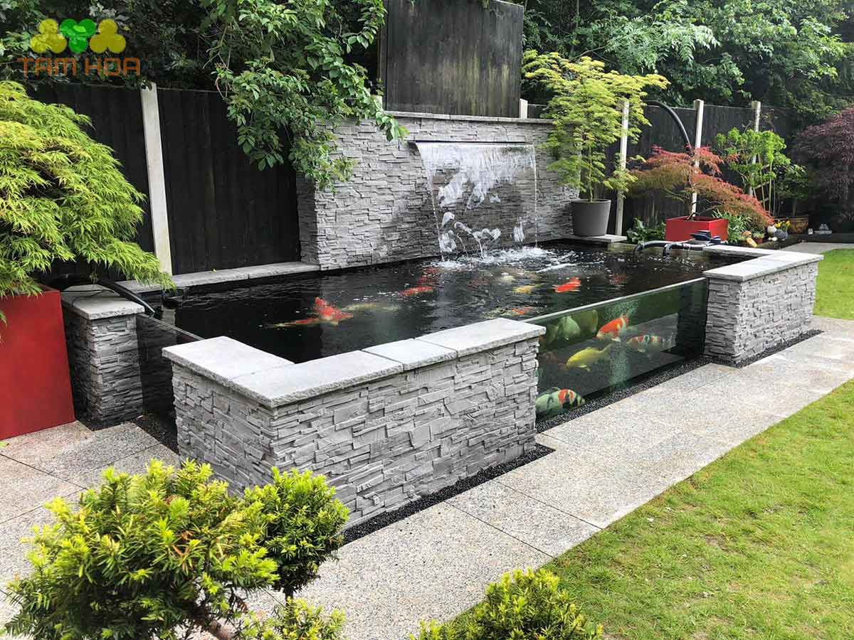 Hồ cá Koi bằng kính tạo không gian xanh