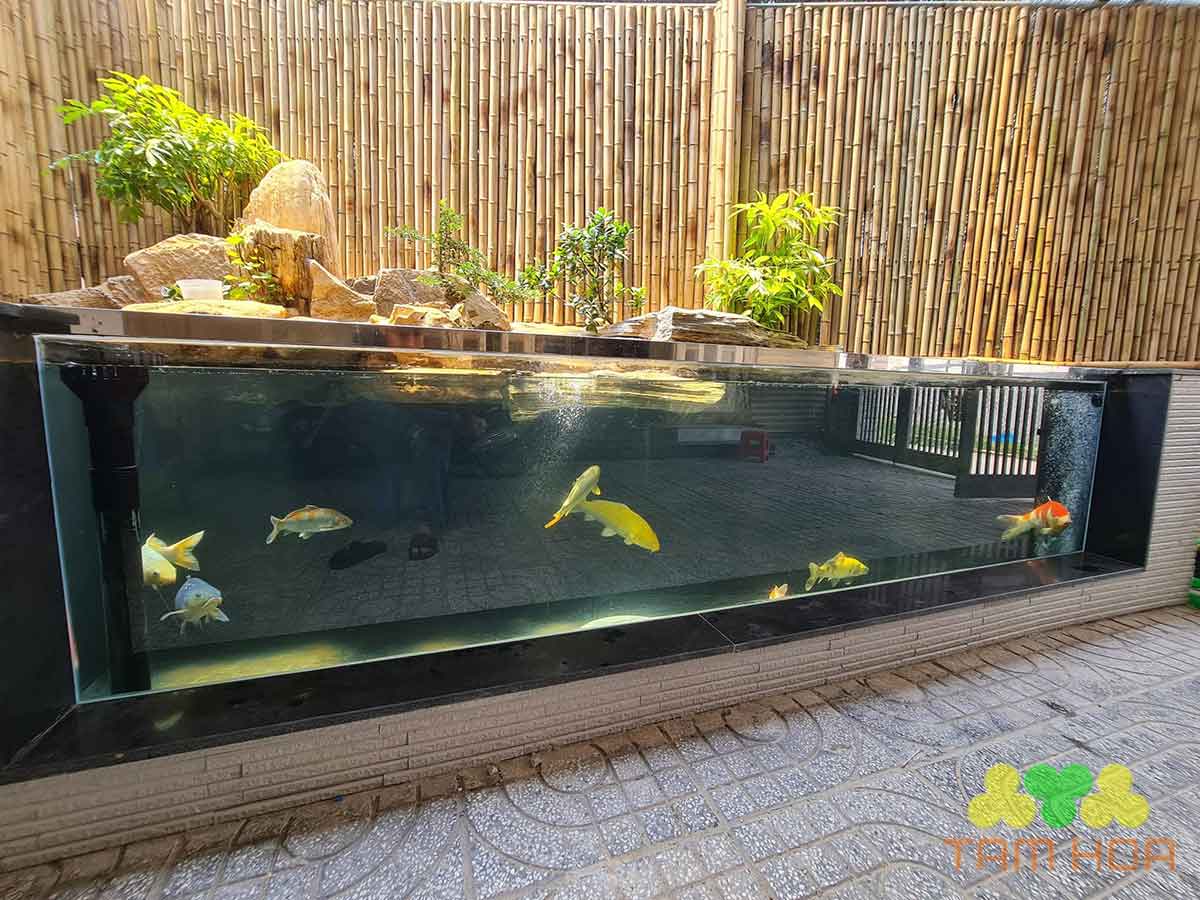 Hồ cá Koi bằng kính mẫu hiện đại