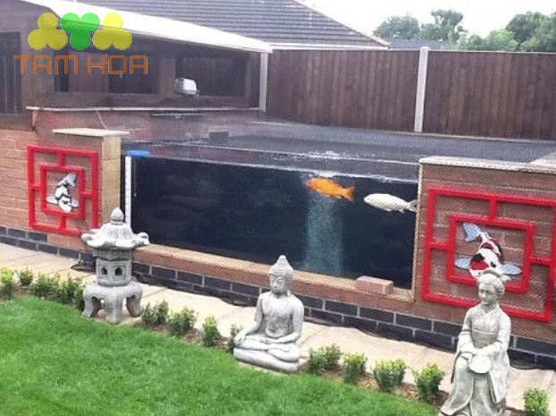 Hồ cá Koi bằng kính kết hợp trang trí tượng