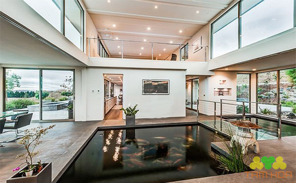Cá Koi bắt mắt, mang ý nghĩa thịnh vượng may mắn