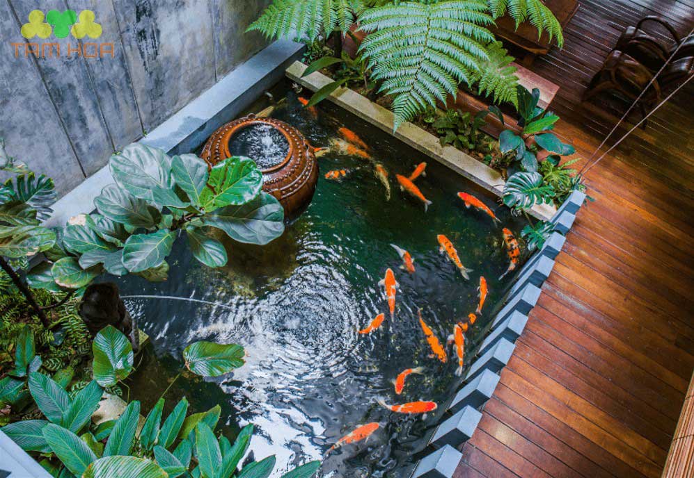 Thiết lập xả thải và chống tràn là vô cùng quan trọng