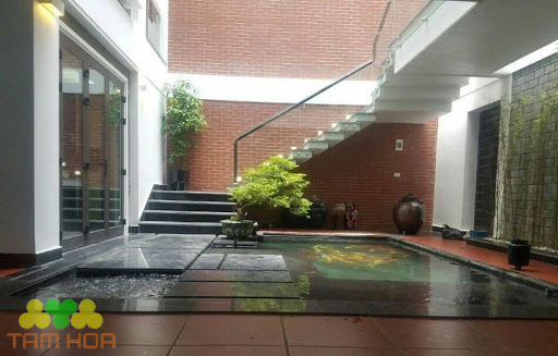 Hồ cá Koi kết hợp với cầu thang