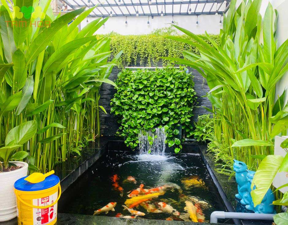 Mẫu hồ cá Koi trong nhà thiết kế hiện đại