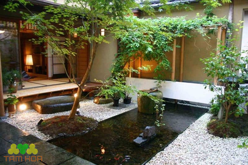 Hồ cá Koi trong nhà giảm căng thẳng
