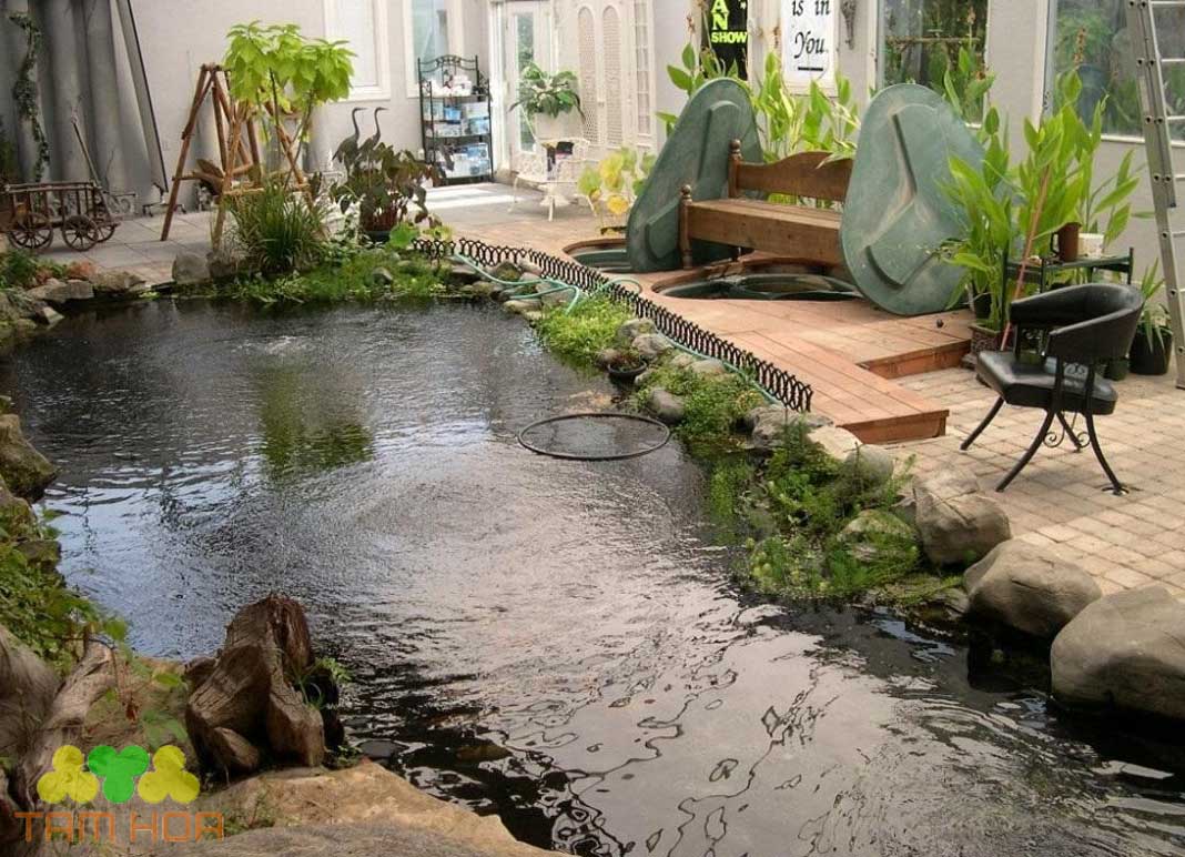 Hồ cá Koi trong nhà mẫu thiết kế đẹp và ấn tượng