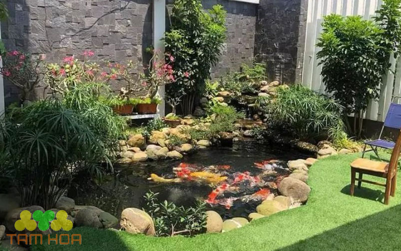Chi phí bảo dưỡng hồ cá Koi tùy thuộc điều kiện kinh tế mỗi gia đình