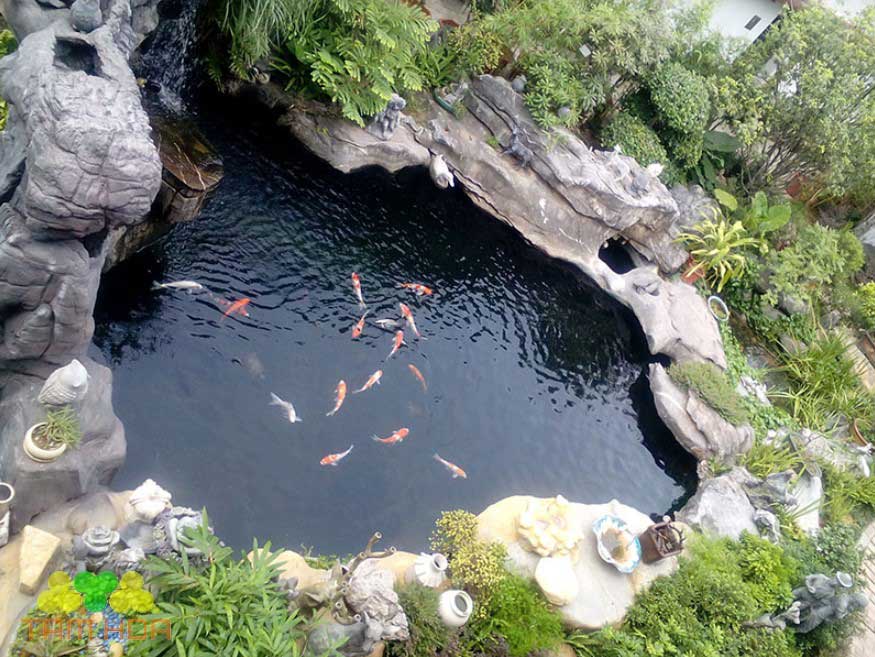 Hồ cá Koi sân vườn kết hợp hang động